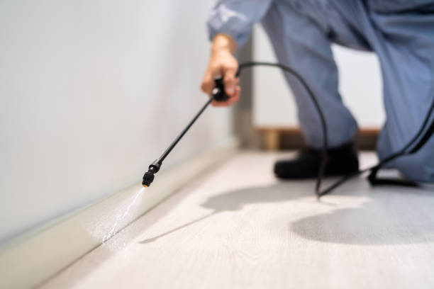 Licensed Pest Control service in Rockville, CT - Show Me Pest Control